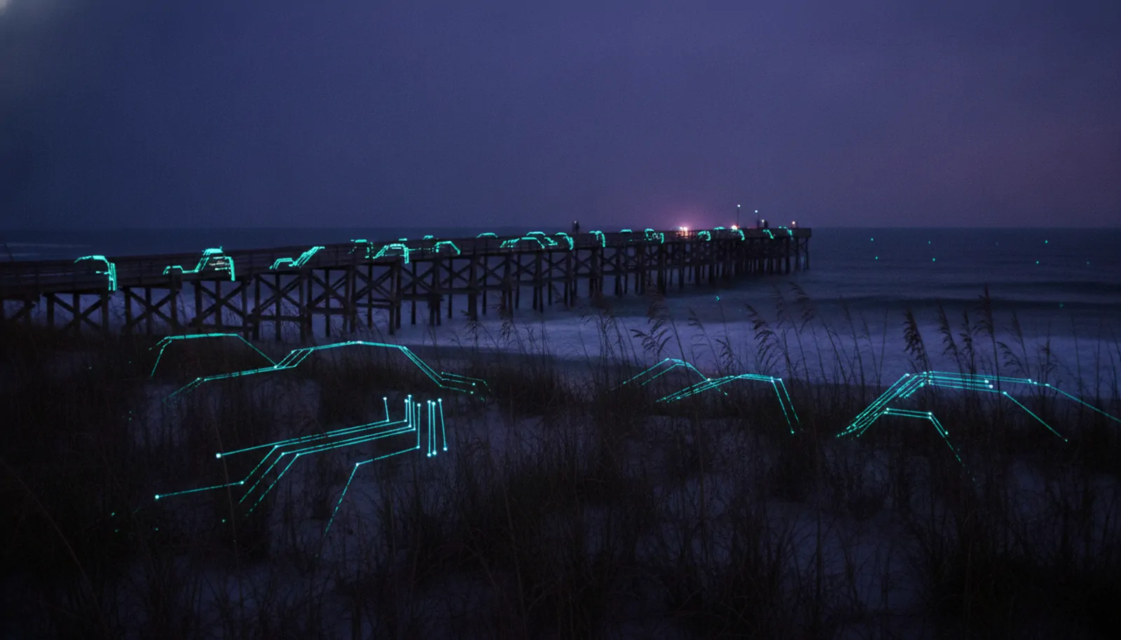 a palm-lined coastal Southern downtown at dusk — HyppoAI serves businesses in Trinity, NC